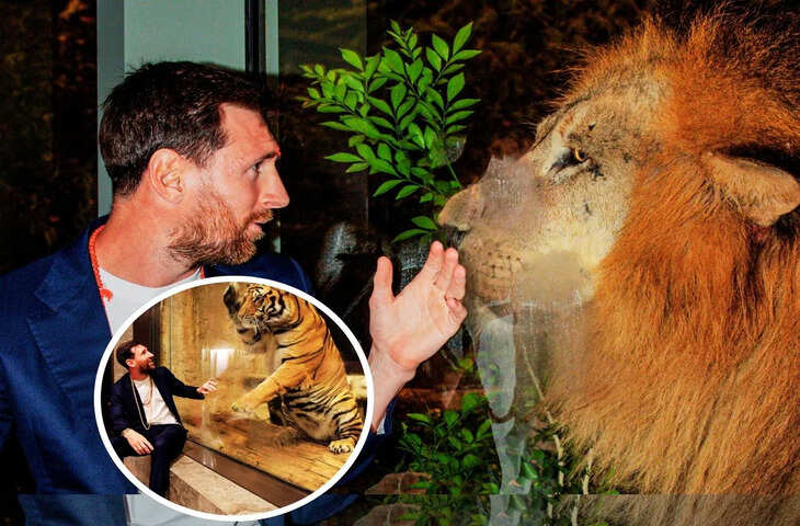 'सच में बहुत खूबसूरत है...' लियोनल मेसी ने वनतारा पर लुटाया प्यार,&nbsp;फुटबॉलर ने फिर भारत आने का किया वादा&nbsp;