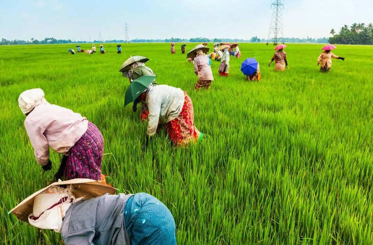खेती करने वालों के लिए बड़ी खबर: सरकार की ये योजनाएं देंगी आपको बेहतर अवसर, फटाफट जाने कैसे उठा सकते है फायदा&nbsp;