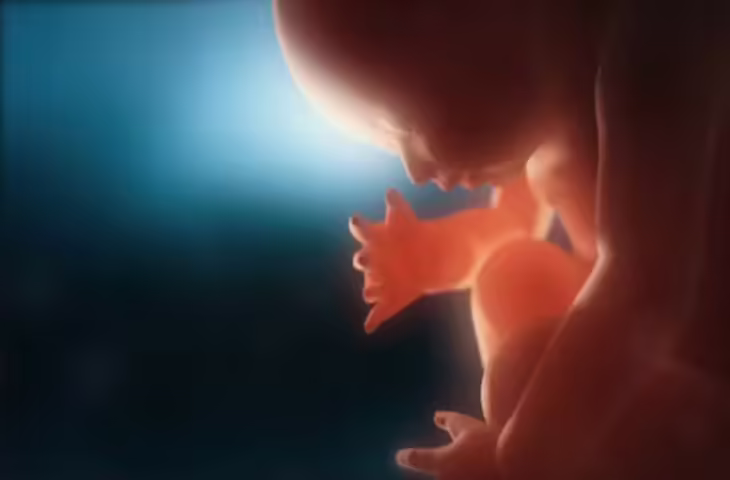 Viral Video: मां के गर्भ में 20 हफ्ते का बच्चा, अल्ट्रासाउंड में साफ नजर आया अद्भुत नजारा