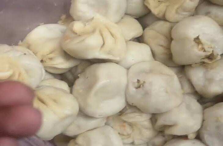 इंदौर के रेस्टोरेंट में मोमोज में मिलीं इल्लियां, ग्राहक की शिकायत पर खाद्य विभाग ने शुरू की जांच
