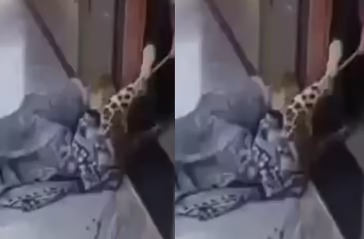 सोशल मीडिया पर वायरल हो रहा नया वीडियो, लोग कर रहे हैं जमकर चर्चा