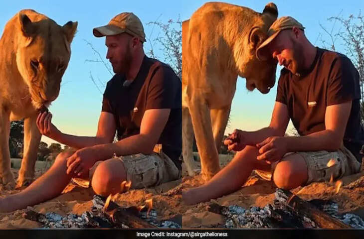 शेरनी के शिकार से ही शख्स ने निकाला मांस, आग पर पकाकर, फिर जो किया, देखकर लोग बोले- ये है असली बॉन्डिंग