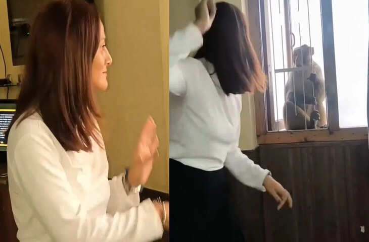 भोजपुरी गाने पर लड़की का डांस देख बौखलाया बंदर!&nbsp;Viral Video में रिएक्शन देख रोक नहीं पाएंगे हंसी&nbsp;