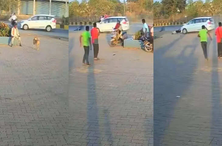 सोशल मीडिया पर वायरल हुआ दर्दनाक सड़क हादसा वीडियो, सुरक्षा की चेतावनी