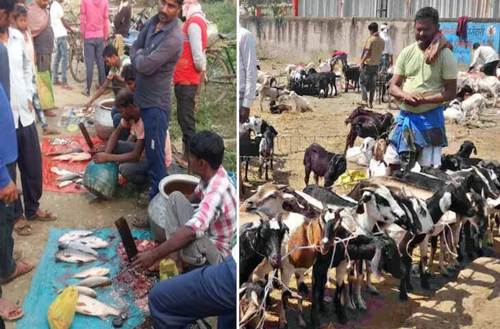 बिहार में खुले में मीट-मछली बिक्री पर रोक, लाइसेंस व्यवस्था होगी सख्त; लागू करना होगा चुनौतीपूर्ण