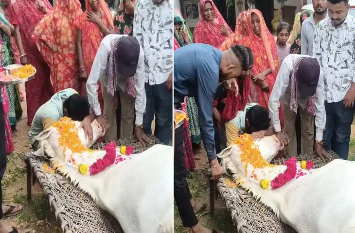 जिसे बच्चे की तरह पाला, उसी घोड़े को दी अंतिम विदाई! गले लगाकर रोया परिवार, वीडियो हुआ वायरल
