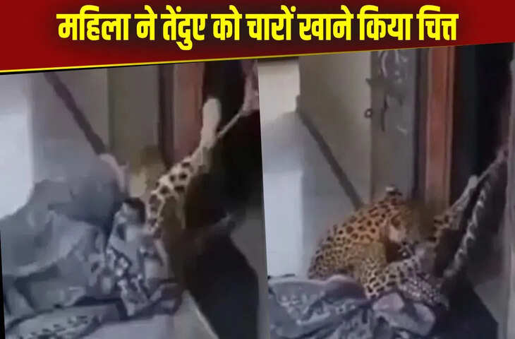 एक झटके में महिला ने तेंदुए को किया ढेर, चादर में लपेटकर बांध दिए पैर&hellip;खतरनाक कारनामा देख हैरान रह जाएंगे आप