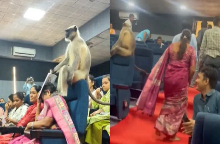 गुजरात जनगणना ट्रेनिंग में अनोखा वाकया, बिना बुलाए मेहमान की एंट्री से मचा हड़कंप, वीडियो वायरल&nbsp;