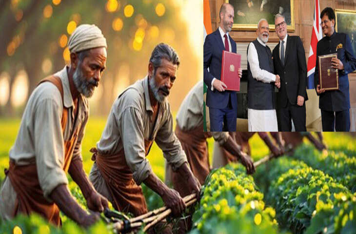 किसानों के लिए बड़ी खुशखबरी! अब इन फसलों को बिना टैक्स UK भेज सकेंगे, कमाई में होगा जबरदस्त इजाफा