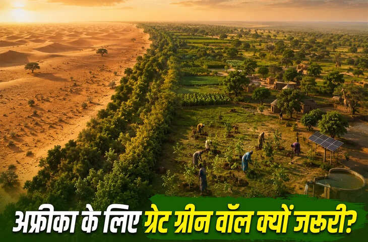 क्या है अफ्रीका की ग्रेट ग्रीन वॉल? कैसे बन रही है दुनिया की सबसे बड़ी हरित परियोजना और किन देशों को मिलेगा इसका फायदा