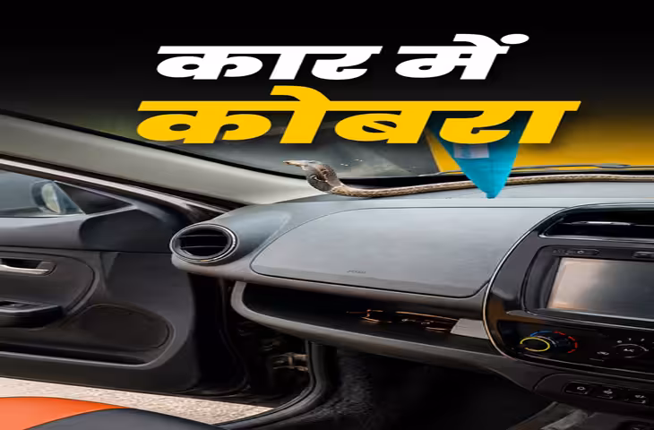 Car Safety Tips: गाड़ी में सांप घुसने से ऐसे बचाएं कार, इन जगहों पर जरूर करें जांच