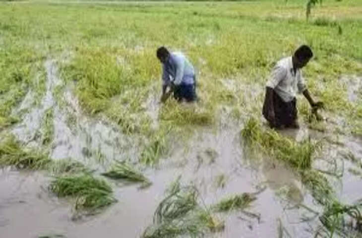 भीलवाड़ा में कांग्रेस का फसल मुआवजा जन अधिकार आंदोलन, प्रताप सिंह खाचरियावास का सरकार पर हमला
