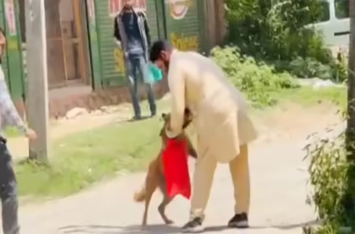 बेजुबान पर भीड़ का कहर! लोगों ने आवारा कुत्ते को पत्थर मार-मारकर उतार दिया मौत के घाट, वीडियो देख भड़के लोग&nbsp;