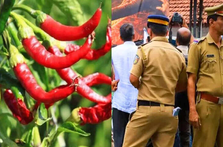 लाल मिर्ची के चक्कर में MP के शख्स ने गंवा दिए लाखों रुपये, कर्नाटक से ठगी का क्या है कनेक्शन? पूरी कहानी