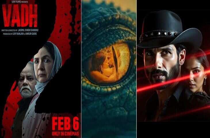 Bollywood Releases February 2026: &lsquo;ओ रोमियो&rsquo; से &lsquo;वध 2&rsquo; तक...अगले महीने सिनेमाघरों में आरही ये 6 मच अवेटेड मूवीज&nbsp;