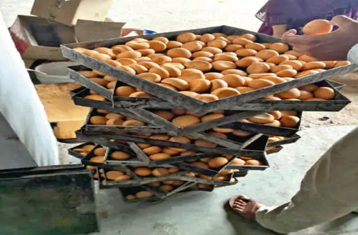 अचारपुरा में बड़ी कार्रवाई: लाइसेंस से 5 किमी दूर चल रही बेकरी सील, खुले में मिले गुलाब जामुन और बिस्कुट