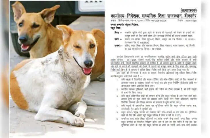 'अब कुत्ते भगाएंगे मास्टर जी!' राजस्थान शिक्षा विभाग का नया फरमान सुनकर चकराया शिक्षकों का सिर