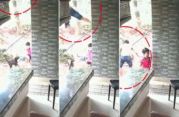 छोटे भाई को बचाने के लिए पहली मंजिल से लगा दी छलांग! खूंखार कुत्ते से भिड़े बड़े भाई का वीडियो वायरल