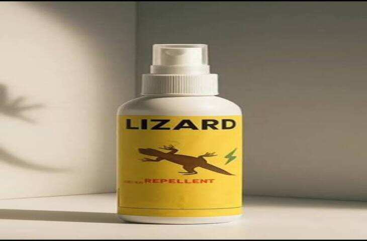Lizard Control Tips: बालकनी में बार-बार आ रही छिपकलियों से हैं परेशान? अपनाएं ये आसान उपाय