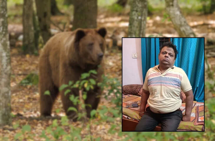 कोटा थर्मल पावर प्लांट में फिर दिखे भालू, कर्मचारियों में दहशत, वीडियो में जाने पहले भी हो चुके हैं हमले