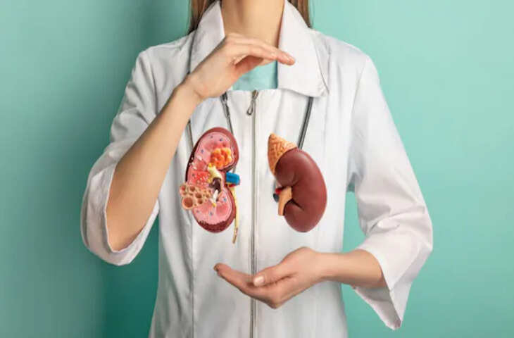 किडनी फेल होने से पहले शरीर देता है ये चेतावनी! जाने&nbsp;शुरुआती लक्षण जिन्हें हल्के में लेना भारी पड़ सकता है