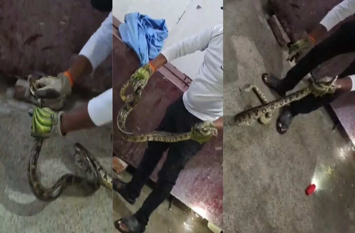 मुंगेर के अस्पताल में निकला विशालकाय अजगर, मरीजों में मचा हड़कंप; सामने आया VIDEO