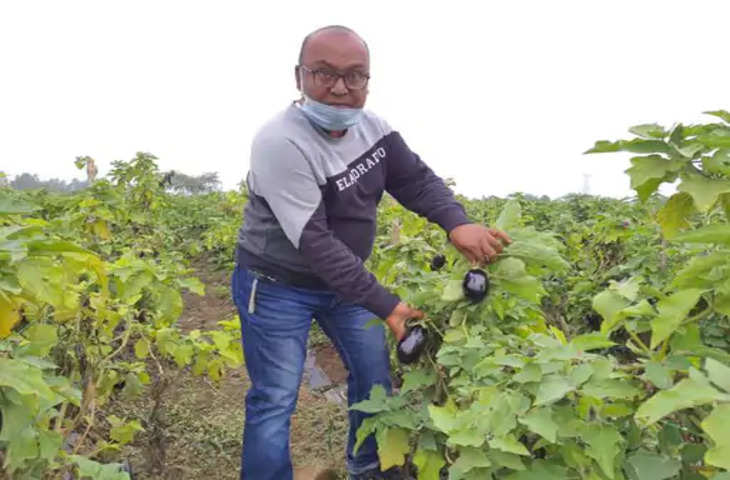 Indore बैंगन से लखपति बनने वाले किसान की कहानी