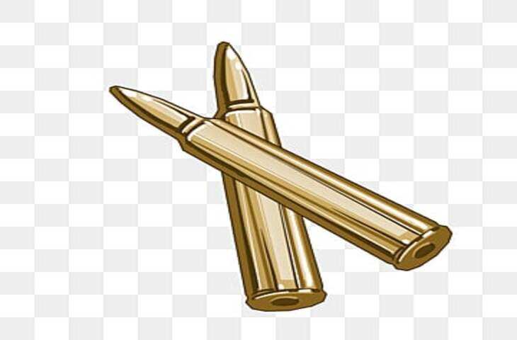 रुपये नहीं देने व आरोपियों द्वारा केस में राजीनामा का दबाव बनाने के मामले में एक व्यक्ति ने परेशान होकर अपने आप को गोली मार ली. 