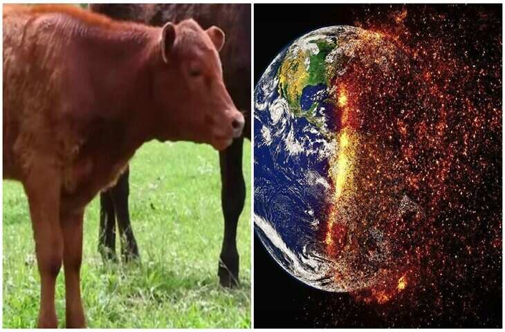 इजराइल में जन्मी लाल बछिय&nbsp;क्या बाइबल के अनुसार क्या ये दुनियाके अंत का इशारा ?&nbsp;जाने सच्चाई&nbsp;