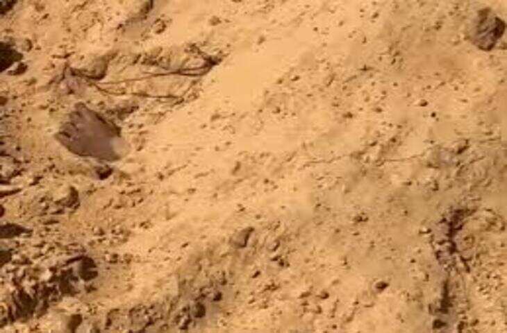 वीडियो में देंखे भरतपुर में चरागाह जमीन से शव मिलने से इलाके में मचा हड़कंप