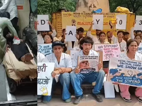 बरेली के IVRI में धरना दे रही छात्रा हुई बेहोश:खुद बुलानी पड़ी एंबुलेंस, 9 छात्र भूख हड़ताल पर बैठे; 150 से ज्यादा का समर्थन
