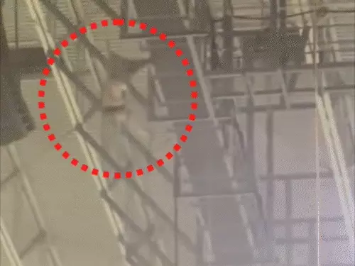 हजारों दर्शकों के बीच हुआ खौफनाक हादसा: स्टंट के दौरान 170 फीट से नीचे गिरा अमेरिकी सैनिक, मौके पर ही तोडा दम