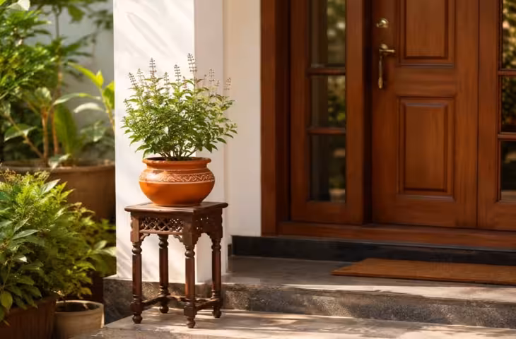 Vastu Tips: मुख्यद्वार के आसपास क्या नहीं रखना चाहिए?