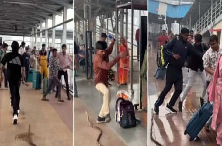 मथुरा रेलवे स्टेशन पर &lsquo;स्नेक प्रैंक&rsquo; का वीडियो वायरल, लापरवाही पर भड़के लोग