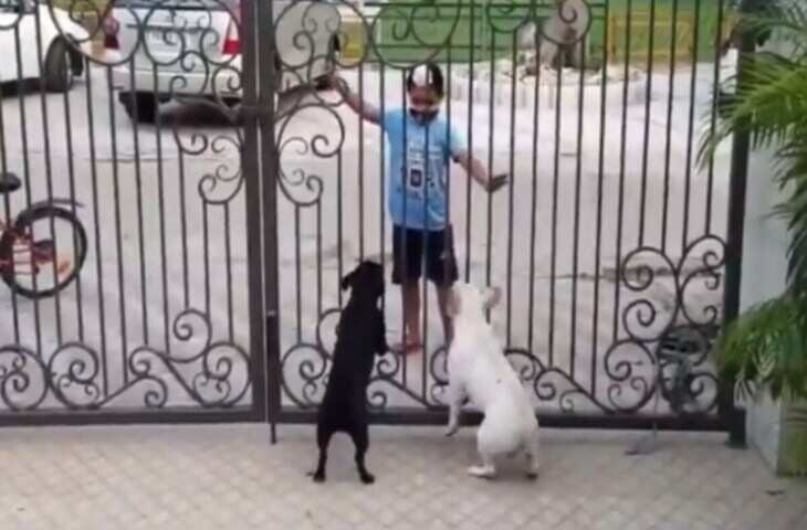 Dog Viral Video: कुत्ते की भौं-भौं और बच्चों का जबरदस्त रेन डांस, प्यारा वीडियो देखकर खिल जाएगा आपका दिन​​​​​​​