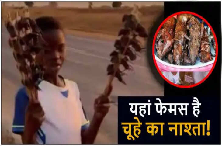 &ldquo;पनीर टिक्का नहीं, चूहा रोस्ट!&rdquo; इस देश में सड़क पर बिकता है अनोखा फूड, दुनिया रह गई हैरान