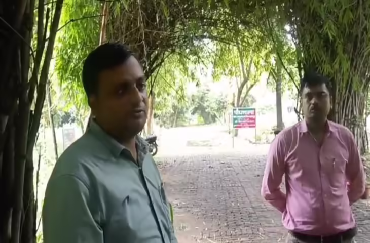 बांस से बढ़ रही शहर की हरी छवि, वन अनुसंधान संस्थान ने रोपे एक लाख पौधे