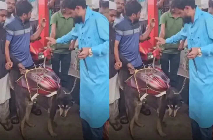 पेट्रोल पंप पर &lsquo;कुत्ते पर टैंक रखकर&rsquo; पहुंचा शख्स, वायरल VIDEO देख हंसते-हंसते लोटपोट हुए लोग