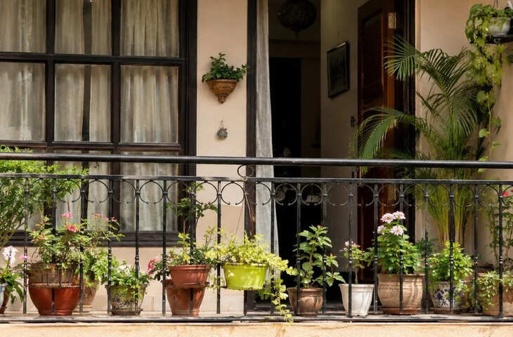 Vastu Tips: घर में वास्तु शांति बनाए रखने के लिए अपनाएं ये जरूरी नियम, दूर होगी नकारात्मक ऊर्जा