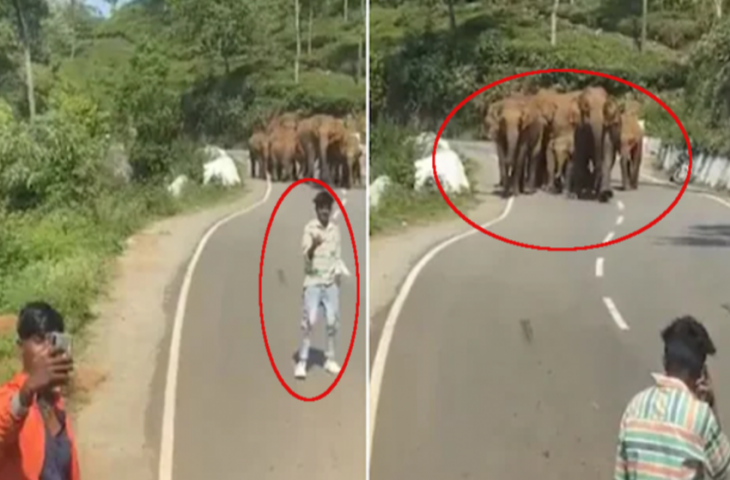 हाथियों संग सेल्फी लेना युवकों को पड़ा भारी, गजराज ने गुस्से में ऐसे सिखाया सबक