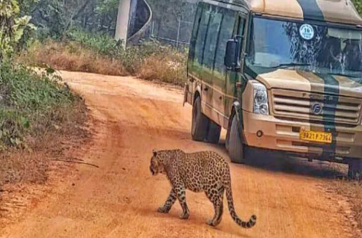 राजगीर वाइल्ड लाइफ जू सफारी में ठंडी धूप में जानवरों का आकर्षक दृश्य, जैव विविधता बढ़ी