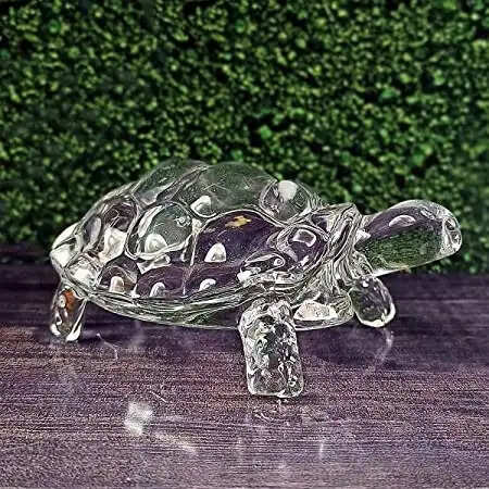 Crystal turle gives immense wealth keep it like this at home or office