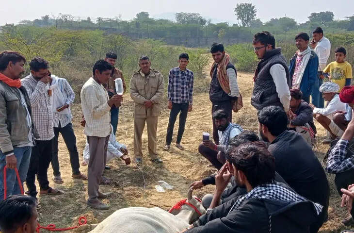 अवैध विस्फोटक सामग्री से खतरे में आम जनता और पशु, गौसेवकों ने उठाया अलर्ट