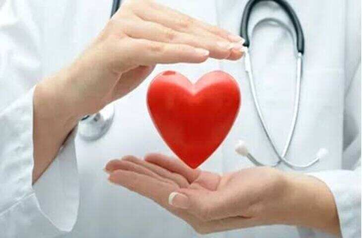 Heart Health Tips: कार्डियोलॉजिस्ट ने बताईं दिल को स्वस्थ रखने की 4 आदतें, रोजमर्रा की जिंदगी में ऐसे करें शामिल