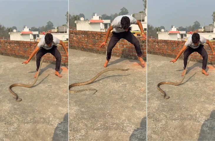 सांप के साथ खेल रहा था शख्स, फिर जो हुआ उसे देखकर रोंगटे खड़े हो जाएंगे