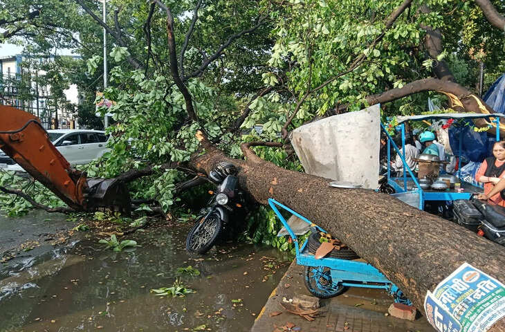 आंधी-बारिश से राजधानी में भारी नुकसान: 500 पेड़ गिरे, उड़ानें प्रभावित, 50 करोड़ का कारोबार प्रभावित