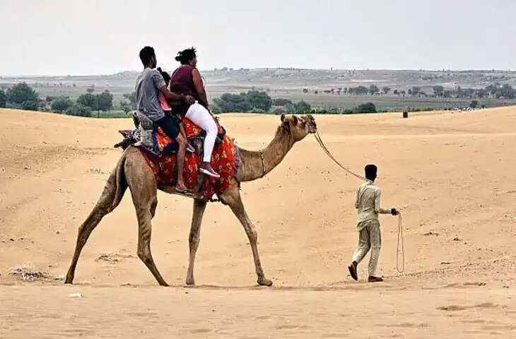 सऊदी अरब ने ऊंटों के लिए शुरू किया आधिकारिक कैमल पासपोर्ट सिस्टम