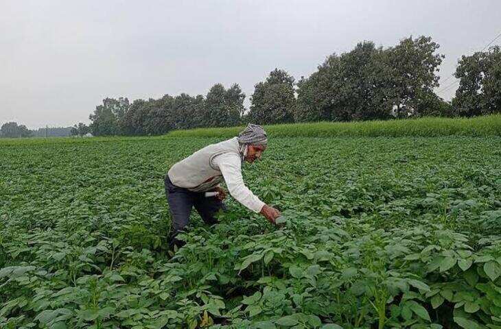 किसान भाइयों के लिए जरूरी खबर! पीएम फसल बीमा योजना का फायदा उठाना है तो भूलकर भी न करें ये गलती