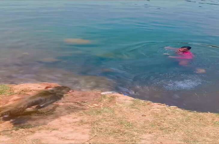 मजाक करना पड़ा भारी, बंदर की नकल करने गए लड़के के साथ हुआ ऐसा हादसा, वीडियो देख दंग रह जाएंगे आप&nbsp;