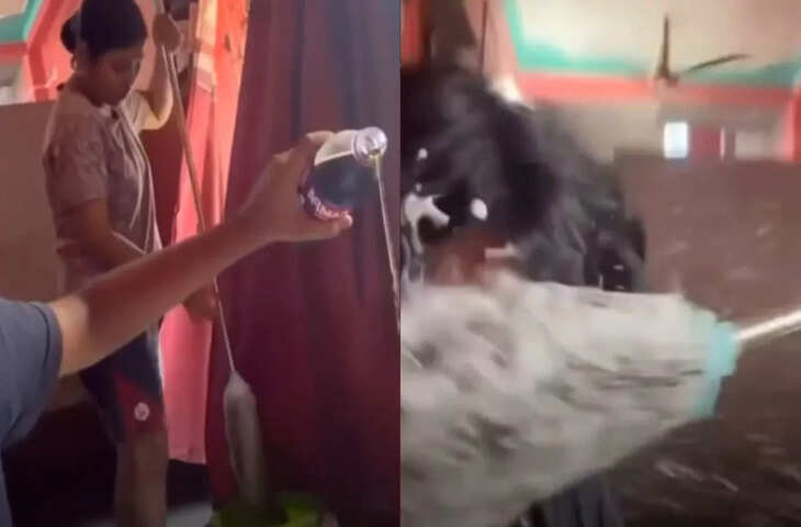 📰 पोछा लगाते समय शरारत पड़ी भारी, वायरल वीडियो देख हंसी नहीं रोक पा रहे लोग